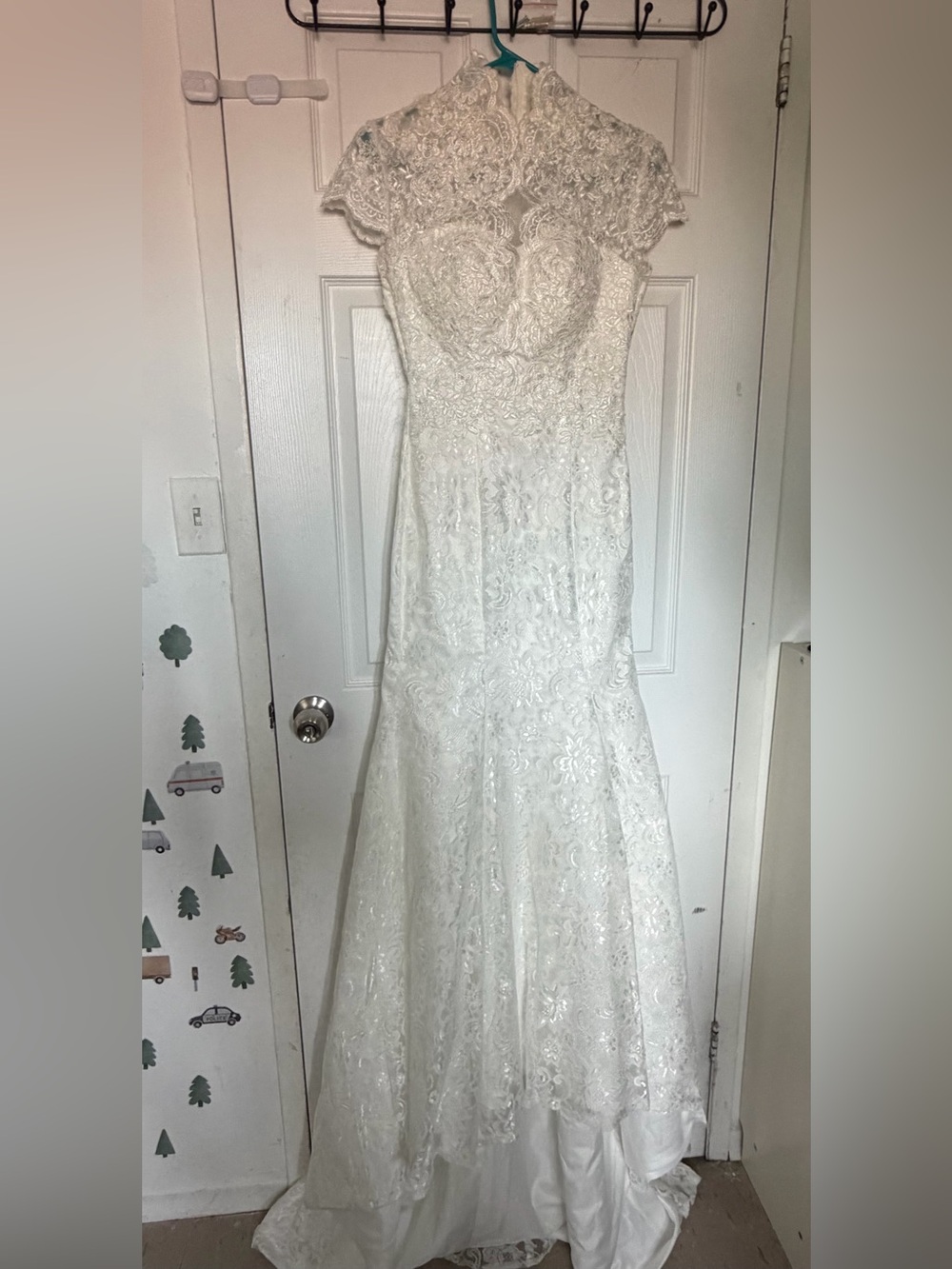 ivory lace mermaid
Petite Lace Sheat gown wedding dress